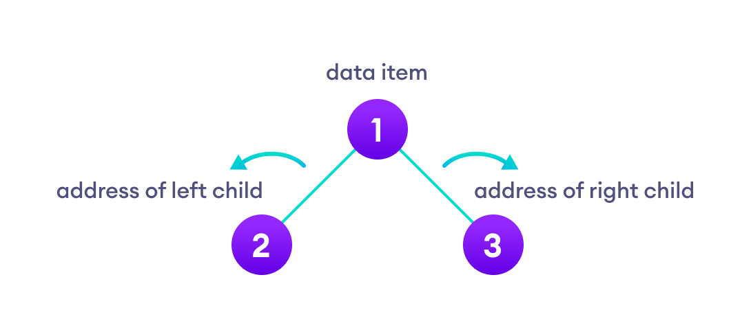 Binary Tree Binary Tree