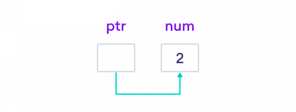 Change the value of the variable using pointer The value of the variable is changed using the pointer dereference operator.