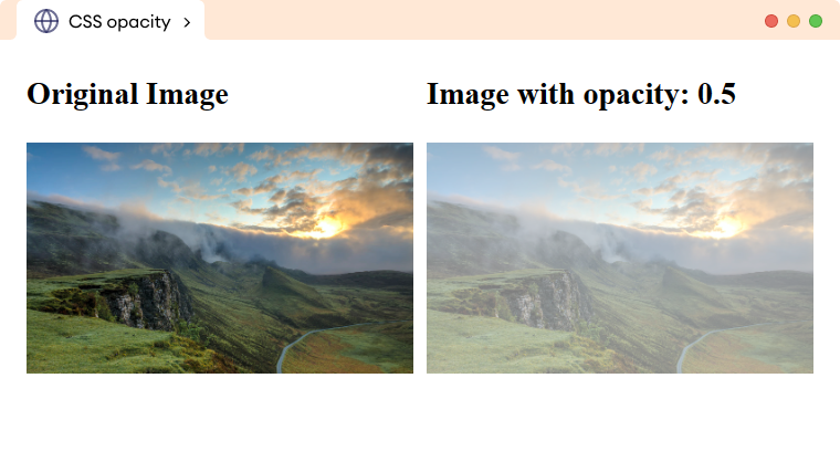 CSS Image Opacity Example CSS Image Opacity Example