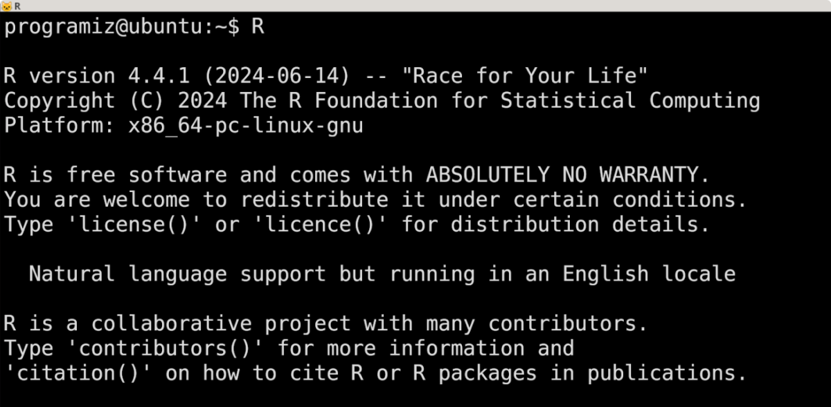 Verify R Installation on Ubuntu Verify R Installation on Ubuntu