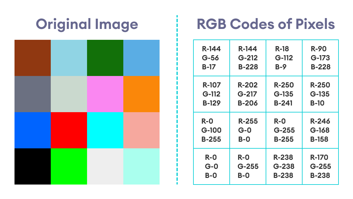 Original Image With RGB Codes Original Image With RGB Codes