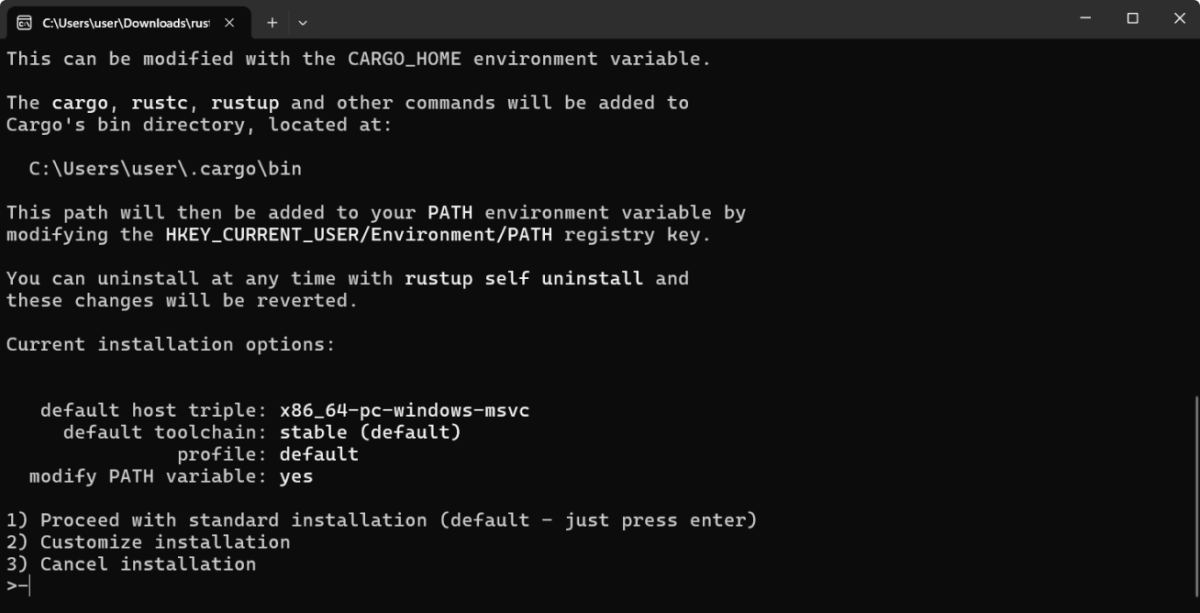 Rust Installation Options on Windows Rust Installation Options on Windows