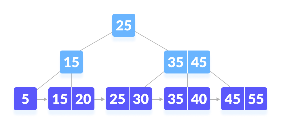 B+ tree B+ tree